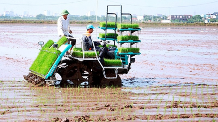 Bhum taneran kraong CL pasiam rilo jamriak tam drak padai