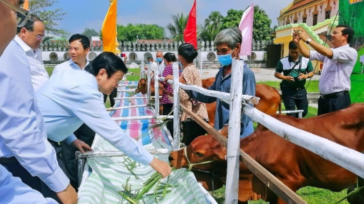 Dalam tukvak tapa, An Giang hu brei ka 6.736 sang bhap bini bangsa takik maraiy jien salih bruk ngak, daong taneh daok, taneh pala drak, ia pandar ngan haong yaom jien abih tih jaik 118 tỷ đồng