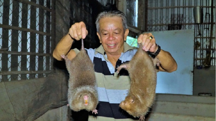 Tỉ phú U70 di Cần Thơ brei thau jalan raong dúi ngak kaya meda