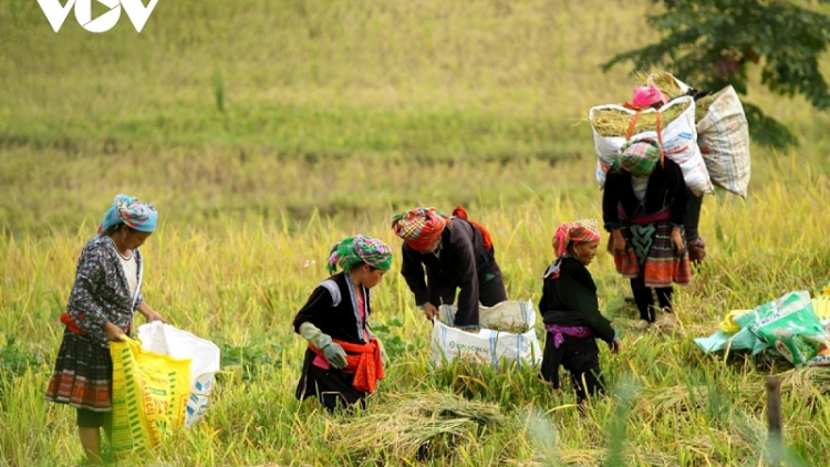 Parilo bruk ngak mbang duah jien, ngak habar ka urang kathaot pataom mbaok tame