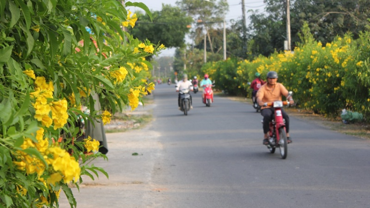 Siam lagaih meng bruk padang ngak rai duik ilamu