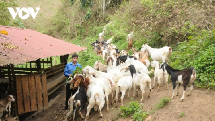 Đồng Tháp:bruk raong pabe ba jalan ngak mbang, duah jien ka bhap bini