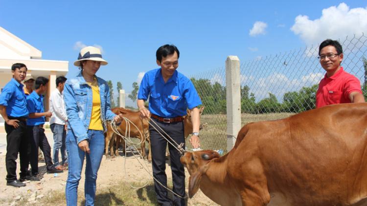 Khaw tin 10h30 và 14h30 harei 20/4