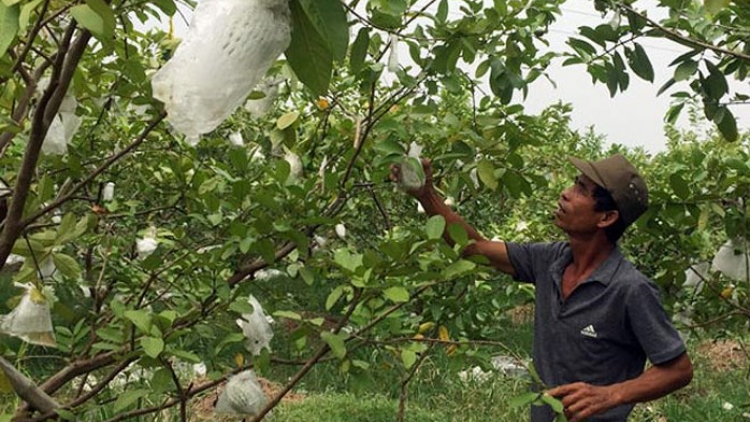 Khaw tin 10h30 saong 14h30 harei 23/12/2017