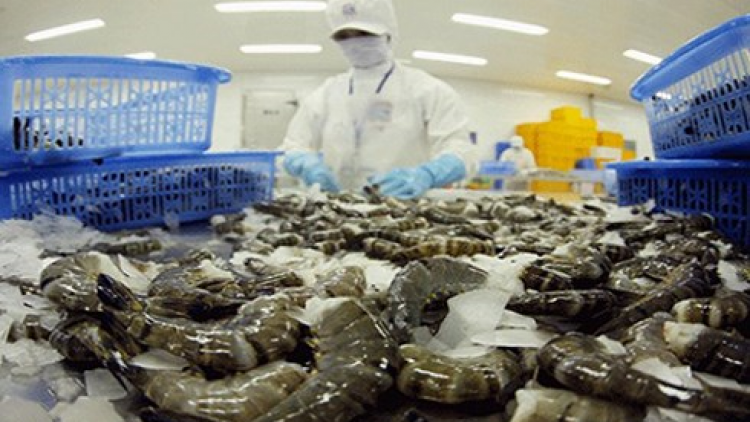 Khaw tin 6h30 harei 21/12