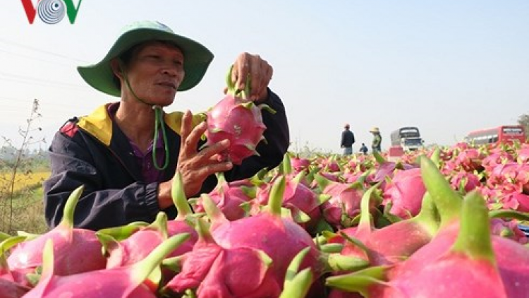 Khaw  tin tuk 10h30 saong 14h30 harei 10/2​