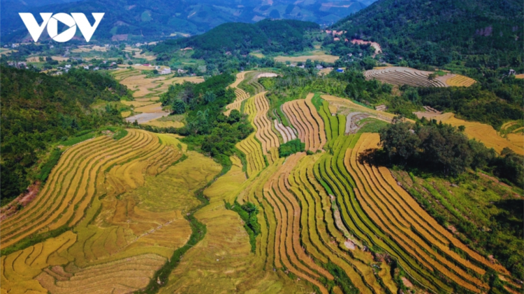 T'RUIH PA XUL T'NGAY 25-2-2022