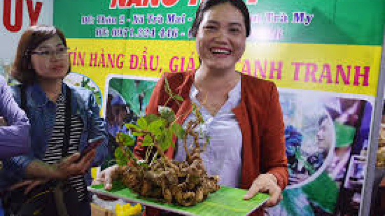 Quảng Nam: Doanh thu 4,4 tỷ đồng đhị phiên chợ sâm Ngọc Linh g’lúh 20