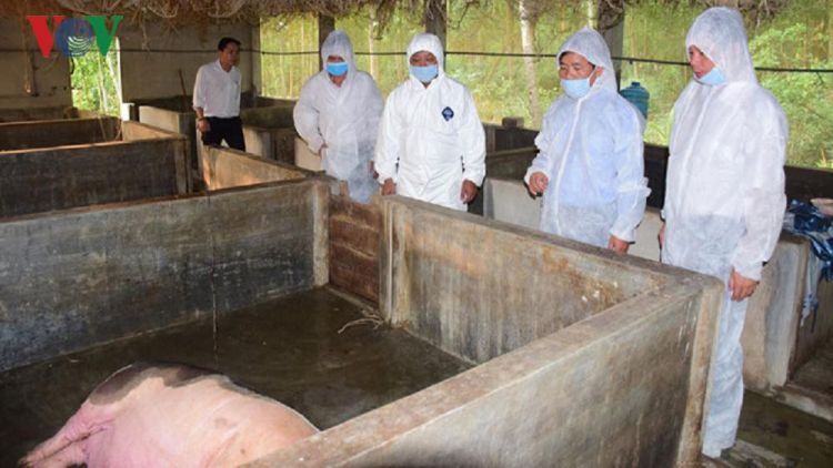 Kon Tum: Pr’lúh pa zruáh a óc Châu Phi nắc dzợ trơơi boọ đơớh