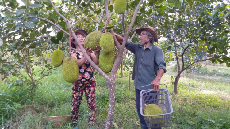 Đhanuôr Quảng Nam xăl chr’nóh chr’bêết zâl rau tr’xăl âng pleng k’tiếc