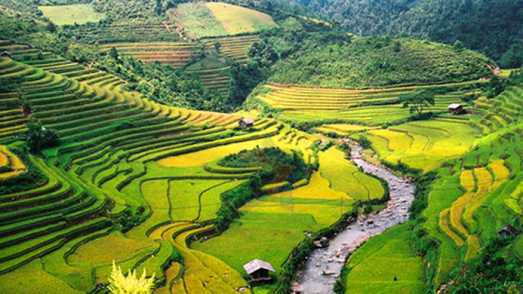 Liêm pr’hay Mù Cang Chải