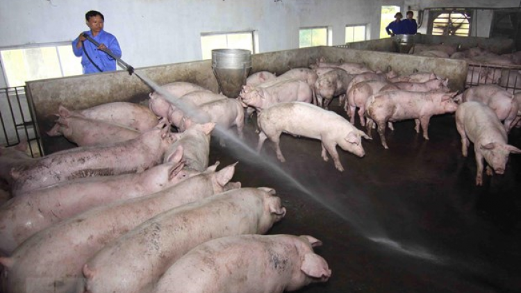 Pr’lúh pr’zuốh a’ọc Châu Phi: Băn bh’năn ting cơnh tệêm ngăn sinh học