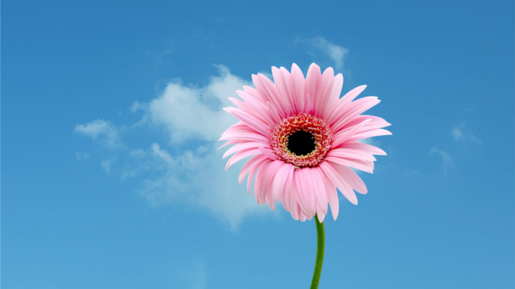 T'RUIH PA XUL T'NGAY 23/8/2019