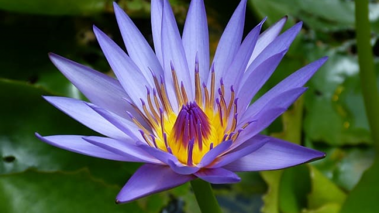 T'RUÍH PA XUL ZẤP T'NGAY 24/7/2019