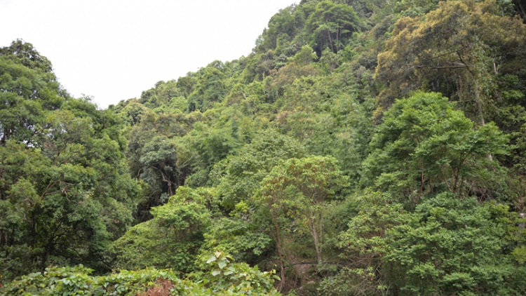 A Lưới: Liêm choom bh’rợ pazao đoọng crâng ha đhanuôr zư lêy
