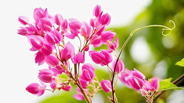 T'RUIH PA XUL T'NGAY 22/8/2019