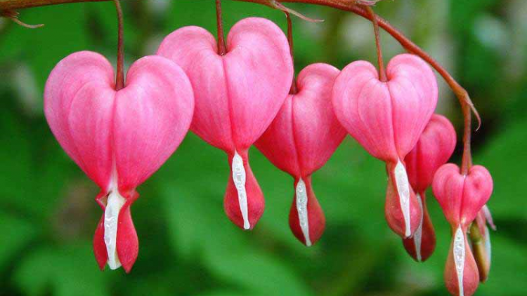 T’RÚIH T’NGAY 16/9/2019