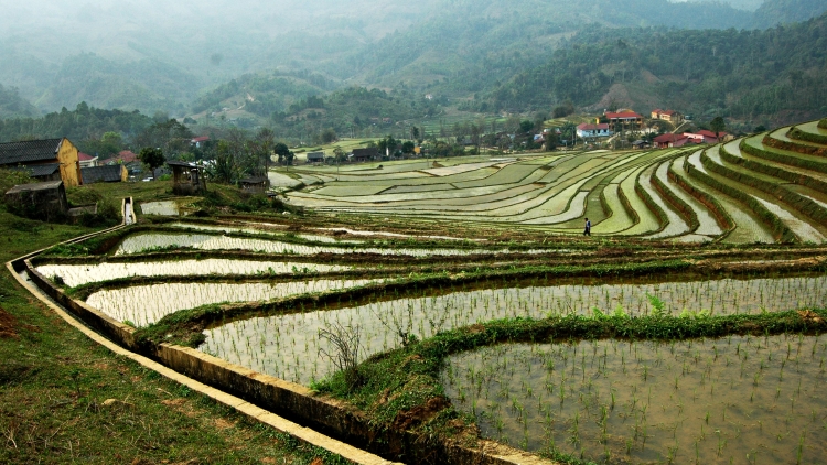 Hau tu xa nay bh’rợ bhươl cr’noon t’mêê cóh zr’lụ da ding k’coong nắc ta bhrợ k’zíh