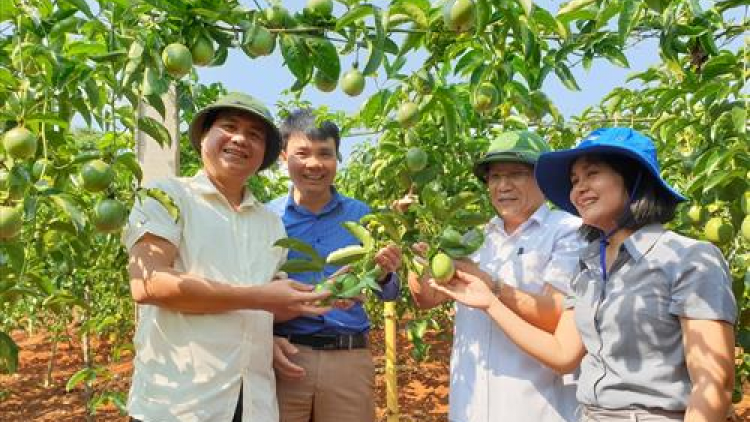 Choh chanh a ngọn chr’nắp ooy kinh tế bấc bhlâng