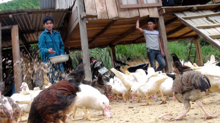 Bh’nơơn tợơ bh’rợ băn bh’năn k’rong muy đhị  cóh chr’hoong Tây Giang