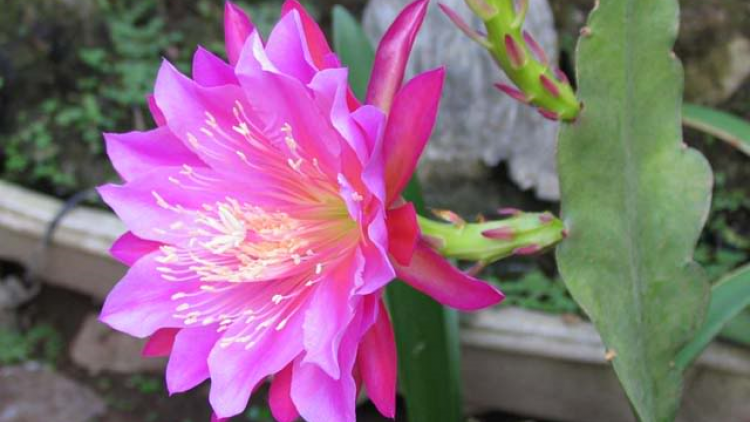 T'RUIH PA XUL T'NGAY 8/9/2019