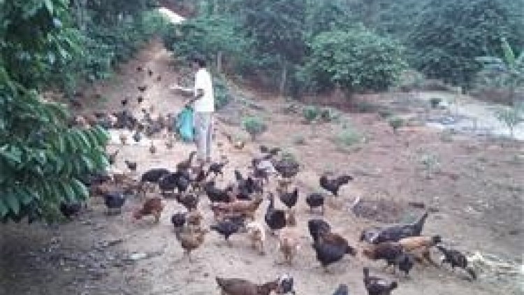 Pân đil cựu chiến binh gương mẫu, liêm ta níh bhrợ cha choom