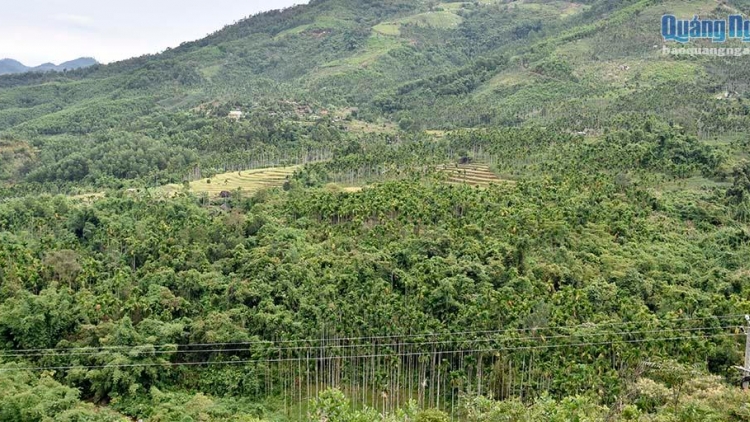 Sơn Tây: P’nang bơơn chr’nắp dal n’đhang công k’rang