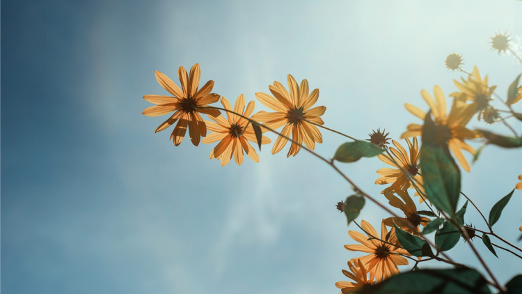 T’RÚIH T’NGAY 14/10/2019