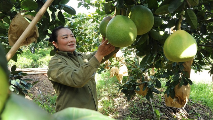 Bhrợ têng bhươl cr’noon t’mêê coh da ding k’coong, bh’rớ tr’nêng coh Bồng Khê