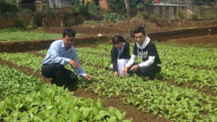 Gia Lai học sinh grơơ nhool lêy cha’mêết khoa học