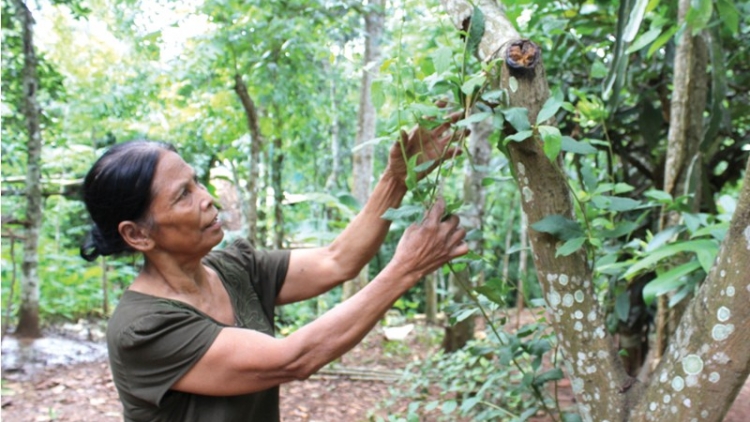 A dích 82 c’moo pa dứah cr’ay lâng za nươu tợơ crâng