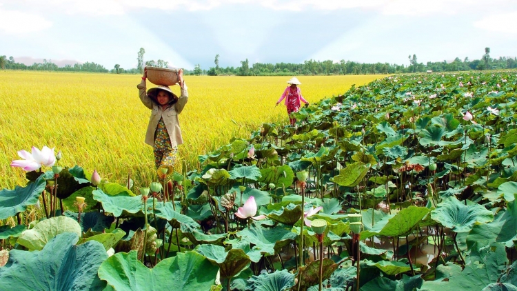 Ha dưr dal chr’nắp bh’nơơn pr’đươi pr’dua cơnh lâng bh’rợ bhrợ têng yêm têêm
