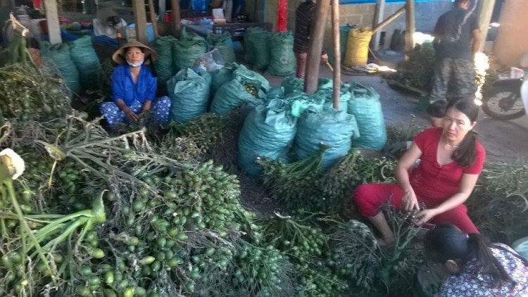Trà Vinh apêê lướt c’câl lâng đhanuôr lêy cha’mêết gít đắh bhiệc pa’câl lâng câl pay p’nang nhuum.