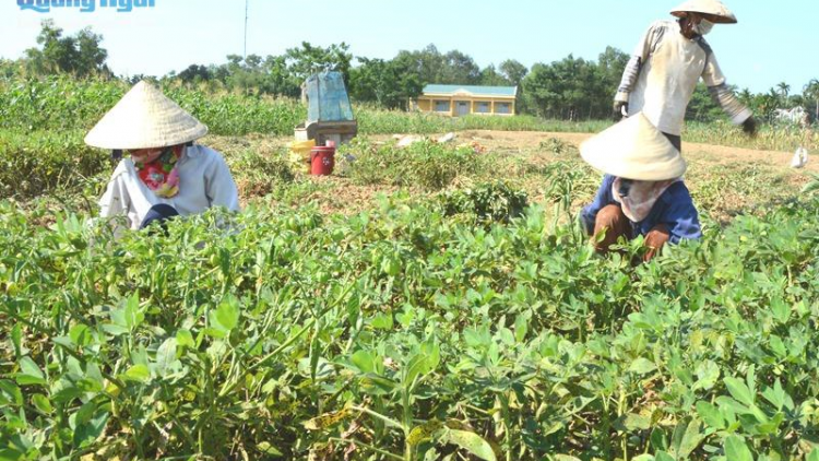 Tơơm chi pọc chắt váih lâng đhanuôr cóh k’coong ch’ngai