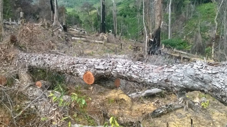 Tây Nguyên: Pa hư crâng dzợ vaih k’rơ