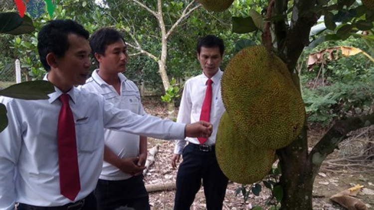 K’coong ch’ngai Khánh Hoà pachô zên tỉ tơợ xăl tơơm chr’nóh