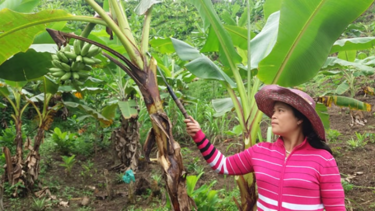 Pân đil Đông Giang: Tr’zúp tr’zooi đh’rứah pa dưr pr’ặt tr’mông, ta ha ul pa xiêr đha rựt