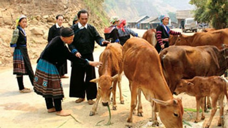 Xay bhrợ liêm crêê pazêng xa nay bh’rợ đoọng t’bil đharứt nhâm mâng