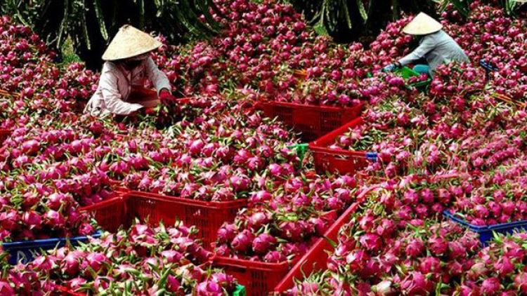 Đhanuôr bhrợ ha rêê đhuốch ting pâh ooy bh’rớ tr’nêng prang bha lang k’tiếc: k’đháp căh cậ u buôn
