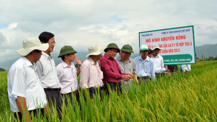 Chóh bêết m’ma ha roo t’mêê, đhanuôr Quảng Nam bơơn pay pa chô zên lãi bấc lấh 5 chu pa châng lâng m’ma ha roo cơnh ty đanh