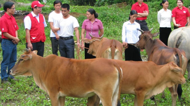 Đha nuôr z’lấh đha rựt đươi vêy “ Ngân hàng c’roóc”