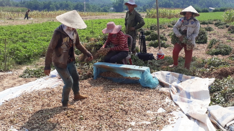 Liêm choom bh’rợ chóh tâm bhóc đhị k’tiếc tr’clai chuáh