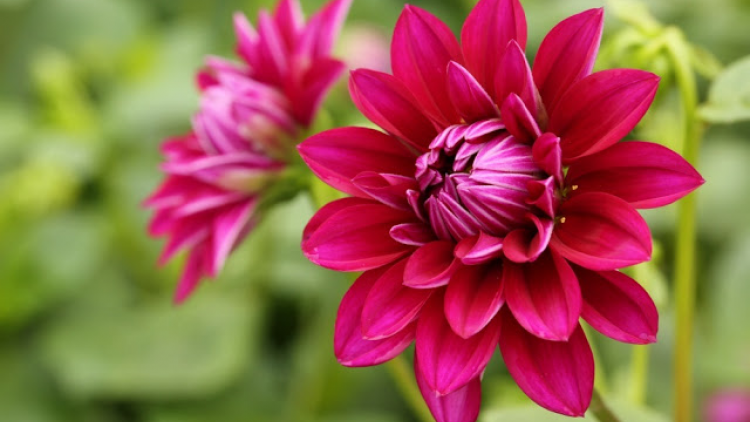 T'RUIH PA XUL T'NGAY 13/5/2020