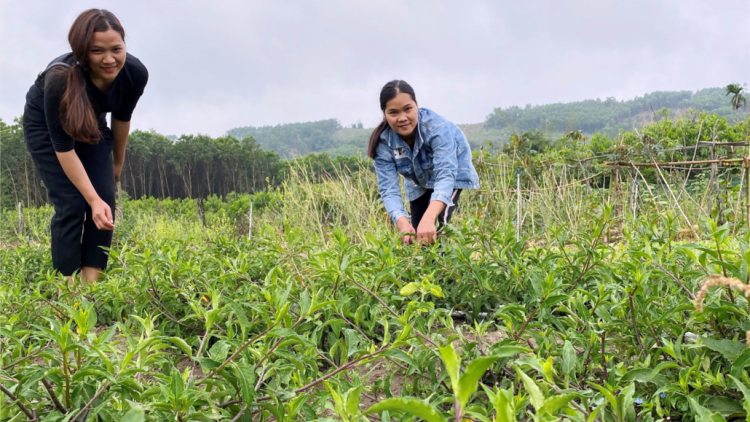 Amoó Tường bhrợ pa dưr pr’ăt tr’mông tơợ r’veh sạch