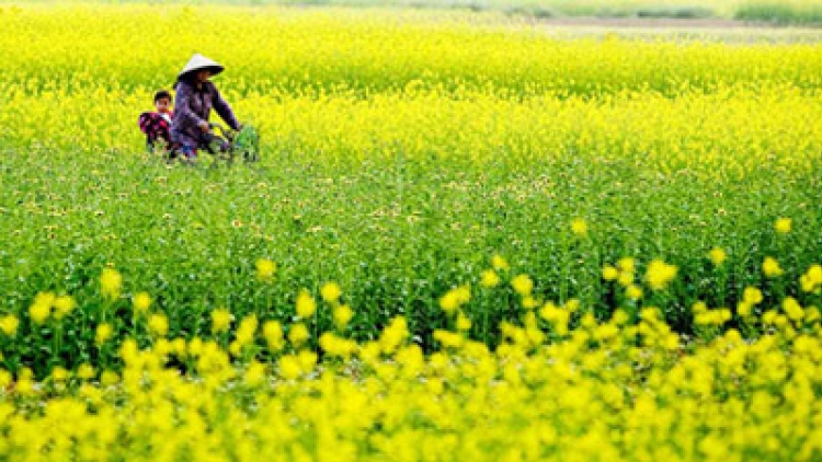 Liêm chr’nắp pô a’bhêy rơợc t’ngay tơợp hân noo ha’ọt cóh Hà Nội.