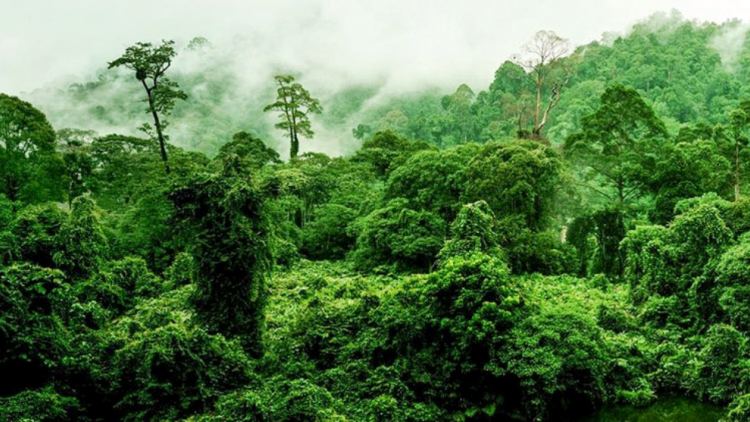 Crâng Nam Tây Nguyên xoọc t’viêng