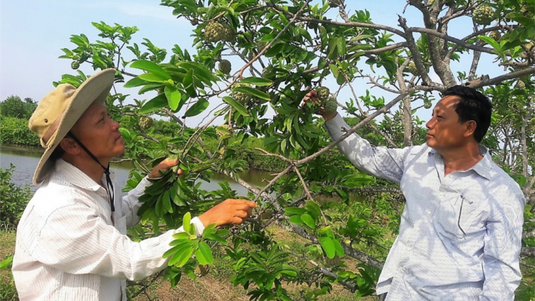 Cà Mau: P’lêê ngam cóh dứp crâng gmrâng