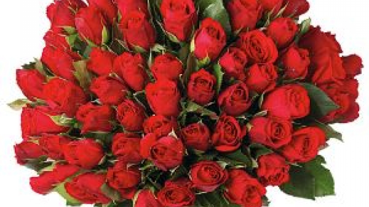 BÀI CA PHỤ NỮ VIỆT NAM