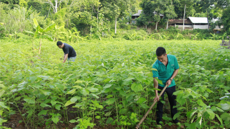 Liêm chr’nắp kinh tế tơợ t’nơơm gai t’viêng cóh Sơn La