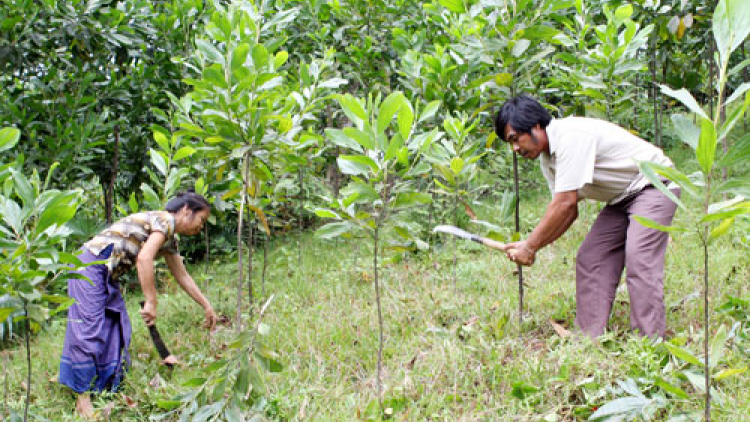 Chr’val Hướng Sơn chr’hoong Hướng Hoá pa zay chóh crâng